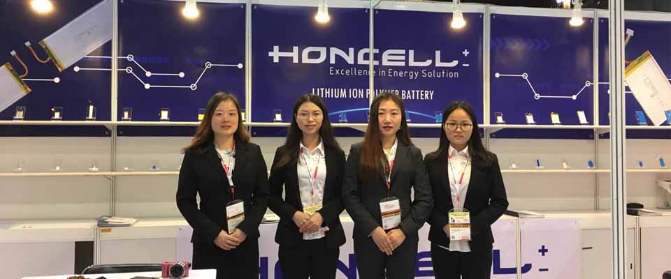 Batteria litio-polimero - HCP series - Honcell Energy Co., Ltd. -  rettangolare / 3 V / CE