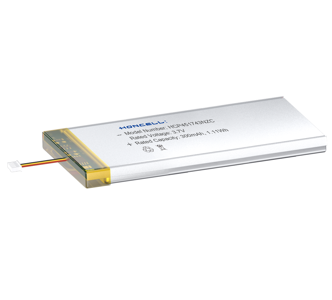 HCP451743NZC 。.png